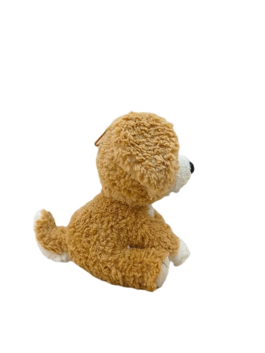 17b2ee80b6370123aa63b25cc80059ea_compress