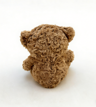 25cm Teddy Bear