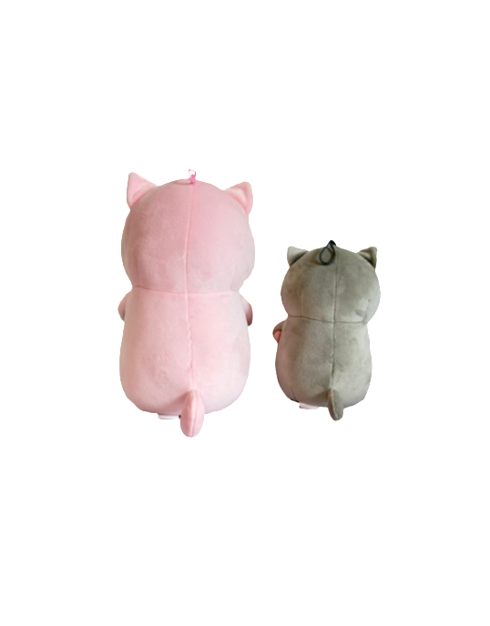 15CM and 20CM cat with fish