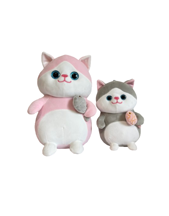 15CM and 20CM cat with fish
