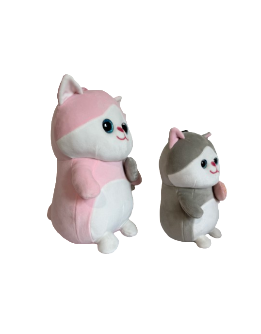 15CM and 20CM cat with fish