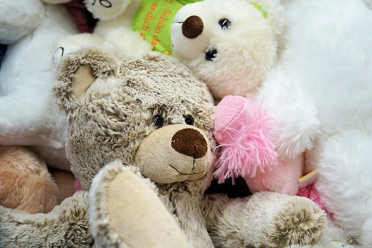 The Top Trends Shaping the Future of Custom Plush Toys