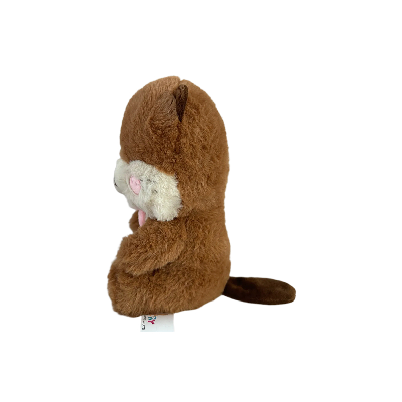 Kawaii Otter Stuffed Animal with Accessories6
