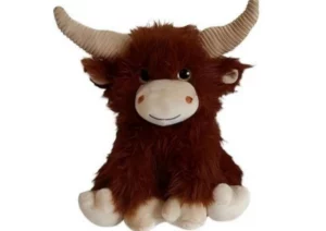 highland cow