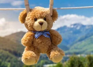 plush bear