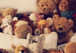 various soft toys